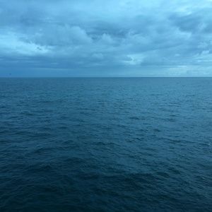 Meet your Posher, Tim